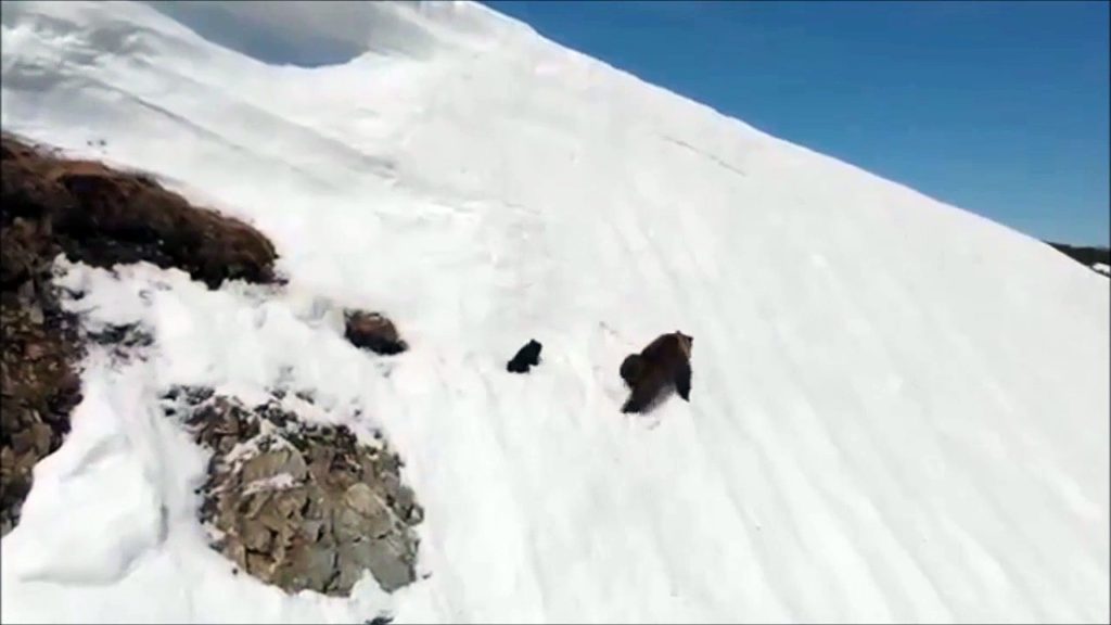 A finished truck hanging in the air after going off the road : Discover ...