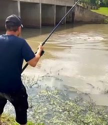 This fisherman catches the fish of his life… huge