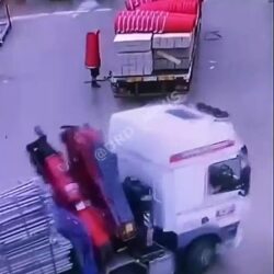 This truck driver didn’t expect this when he checked his trailer